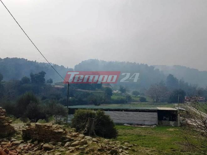 Μεγάλη πυρκαγιά σε πευκοδάσος στο Κυπαρίσσι Ερυμάνθου - Σηκώθηκαν Canadair (ΝΕΟΤΕΡΑ + ΦΩΤΟ)