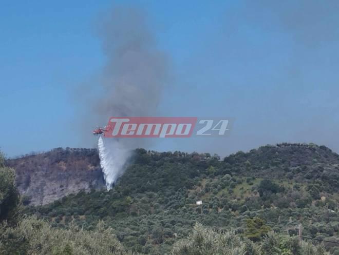 Φωτιά στην Ηλεία: Καλύτερη η εικόνα σε όλα τα μέτωπα – Προσήχθη 65χρονος για εμπρησμό