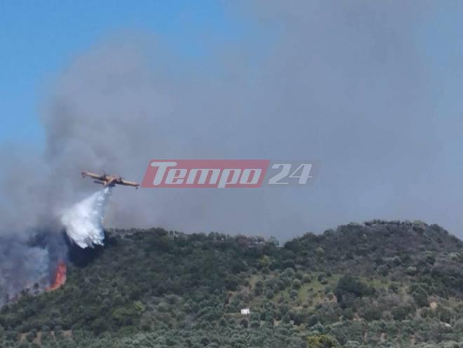 Το tempo24 στο τριπλό πύρινο μέτωπο στην Ηλεία - ΦΩΤΟ - ΒΙΝΤΕΟ - Συνεχής ενημέρωση