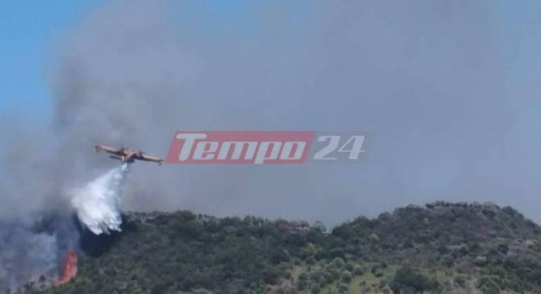 Κρατείται ο 65χρονος ύποπτος για εμπρησμό στην Ηλεία - Θα απολογηθεί την Τρίτη