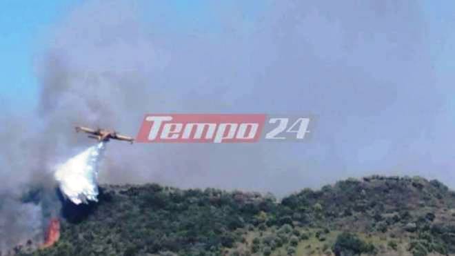 Φωτιά στον Σέκουλα Ηλείας: Επιχειρούν επίγειες και εναέριες δυνάμεις (ΝΕΟΤΕΡΑ)