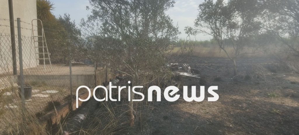 Πύργος: Ξέσπασε φωτιά μια ανάσα από τα σπίτια - ΦΩΤΟ