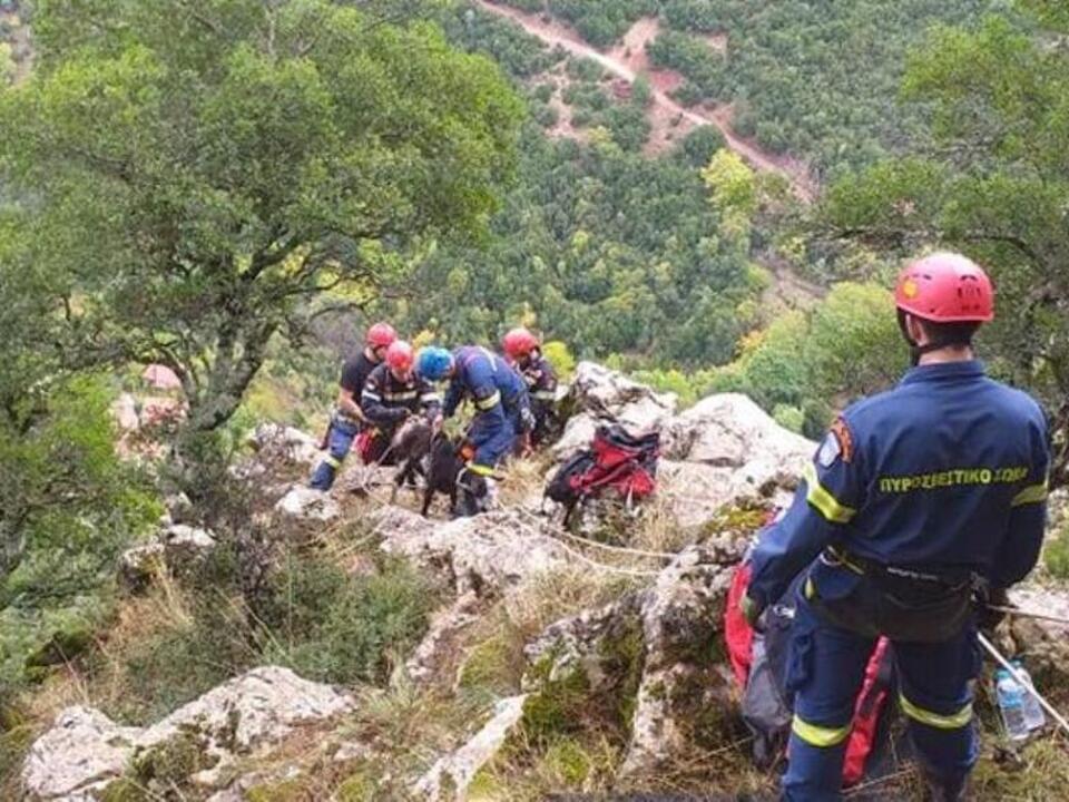 Δίβρη: Εντοπίστηκε νεκρός 55χρονος ιερέας σε δασική περιοχή - Επιχείρηση από την 6η ΕΜΑΚ για την ανάσυρση του