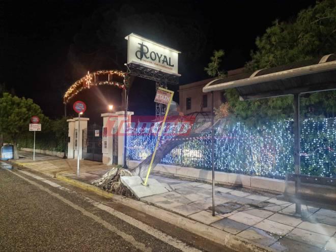 Πάτρα: Δένδρο ...προσγειώθηκε πάνω στο "Royal"