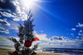 To Xριστουγεννιάτικο δένδρο στην παραλία της Καλόγριας!