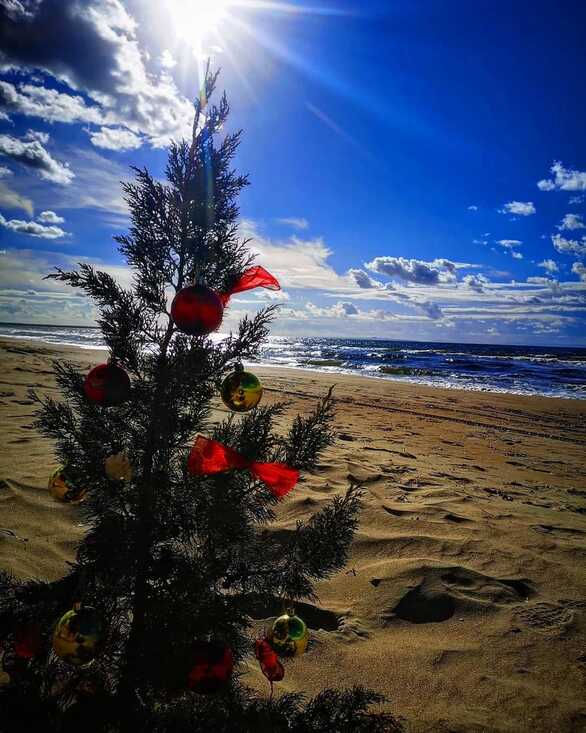 To Xριστουγεννιάτικο δένδρο στην παραλία της Καλόγριας!