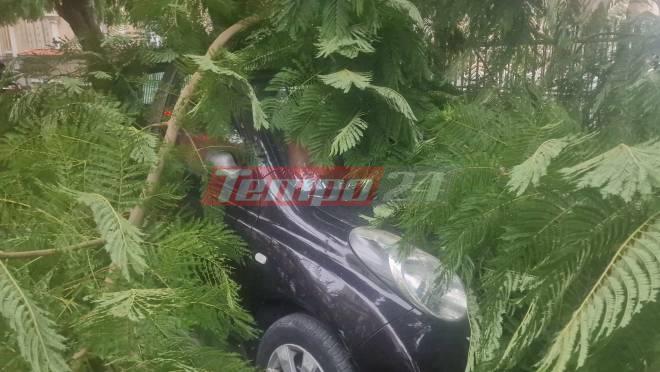 Κακοκαιρία - Πάτρα: Δέντρο καταπλάκωσε αυτοκίνητο (ΦΩΤΟ)