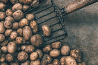 Γιατί πρέπει να τρως την πατάτα μόνο με τη φλούδα