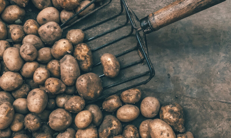 Γιατί πρέπει να τρως την πατάτα μόνο με τη φλούδα