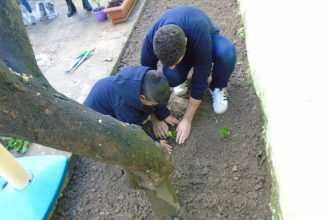 Σχολικός λαχανόκηπος στο 54ο Νηπιαγωγείο από το Πάρκο Εκπαιδευτικών Δράσεων του Δήμου