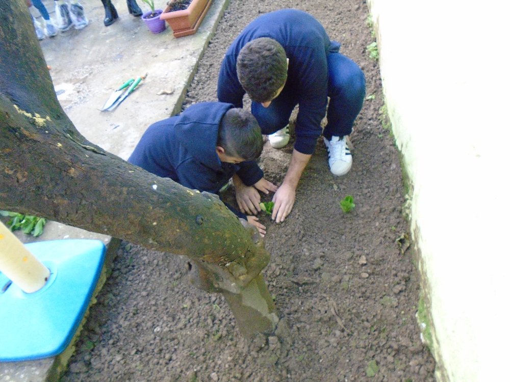 Σχολικός λαχανόκηπος στο 54ο Νηπιαγωγείο από το Πάρκο Εκπαιδευτικών Δράσεων του Δήμου