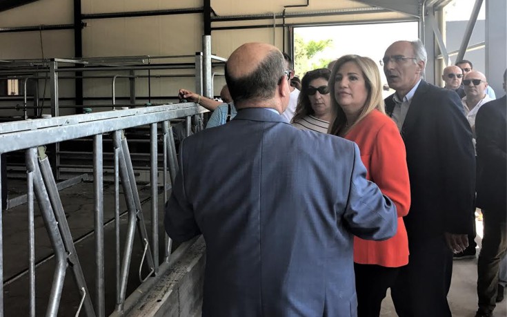 Ο κτηνοτρόφος που ξάφνιασε την Φώφη Γεννηματά