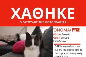 Πάτρα: Χάθηκε ο Πάϊκ