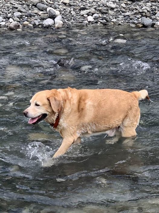Στη Γέφυρα του Ουράνιου Τόξου