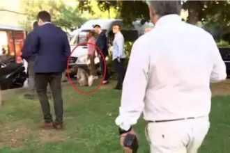 Ράνια Τζίμα για Κασσελάκη: «Έβγαλε τον σκύλο να κάνει τα αναγκαία την ώρα που έφτασε στα γραφεία; Ήμαρτον»