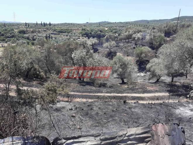 Οριοθετήθηκε η πυρκαγιά στο Αγρίνιο (ΦΩΤΟ)