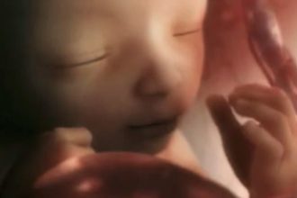 Βίντεο: Δείτε πως εξελίσσεται μία εγκυμοσύνη εννέα μηνών, μέσα σε μόλις τέσσερα λεπτά