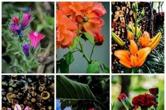 Κωνσταντίνος Μπουρδούλης: Ας αναλογιστούμε, τι κάνουμε και τι δεν κάνουμε...