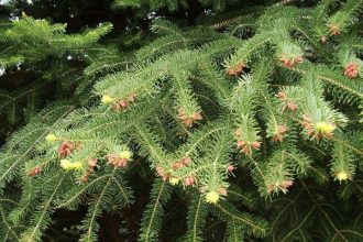 Εικόνες για να ...ζηλεύεις!