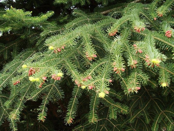 Εικόνες για να ...ζηλεύεις!