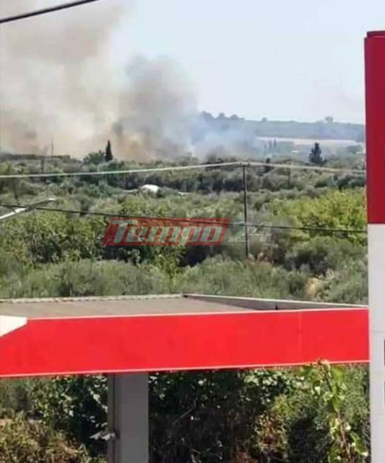 Συναγερμός στην Πυροσβεστική για φωτιά στην Αμαλιάδα - Εναέριες δυνάμεις περιόρισαν τις φλόγες (ΦΩΤΟ)