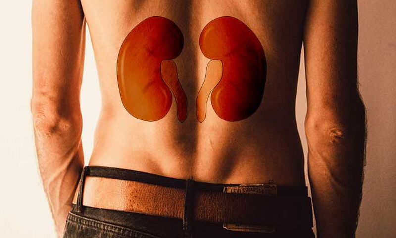 Οι τροφές που απειλούν την υγεία των νεφρών σας