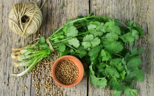 Μάθε τα τα βότανα "σύμμαχους" της φυσικής αποτοξίνωσης λίγο πριν το καλοκαίρι