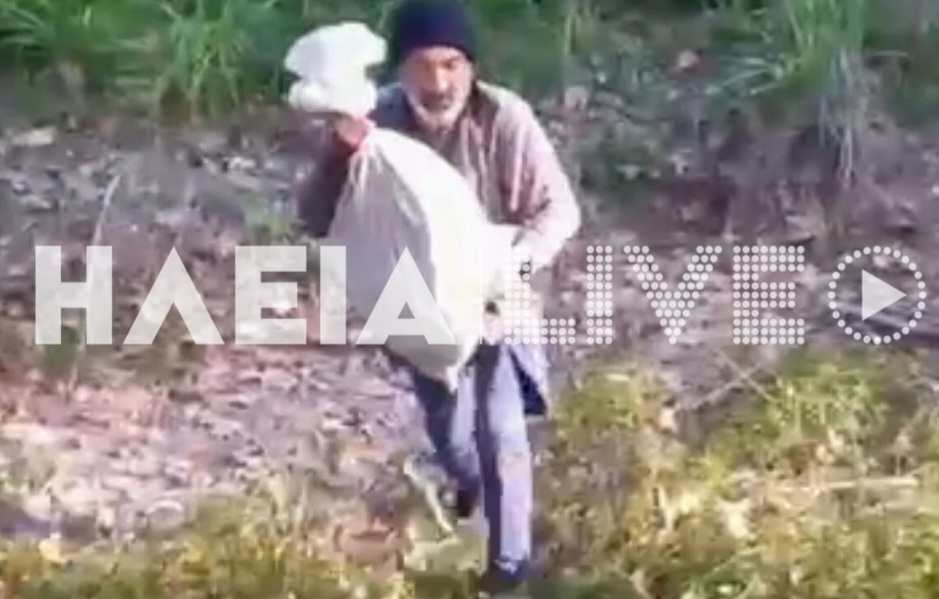 Κτηνωδία: Πέταξαν σε ποταμό κουτάβια μέσα σε τσουβάλια ΦΩΤΟ – ΒΙΝΤΕΟ