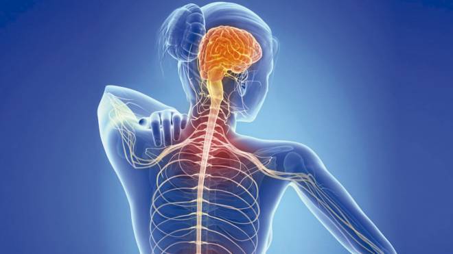 Πολλαπλή σκλήρυνση: Νέο ελπιδοφόρο φάρμακο δοκιμάστηκε με επιτυχία