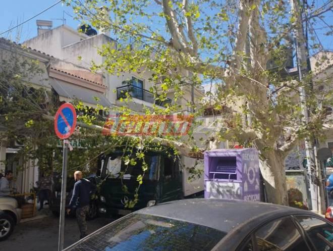 Πάτρα: Απίστευτο περιστατικό-Τμήμα δέντρου έπεσε πάνω σε διερχόμενο φορτηγό-Από θαύμα γλίτωσε ο οδηγός ΦΩΤΟ-ΒΙΝΤΕΟ