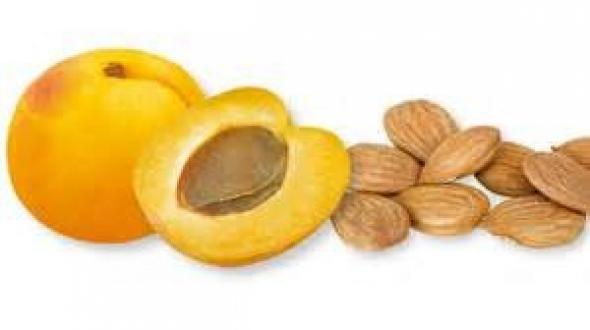 Ποια κουκούτσια μπορεί να προκαλέσουν θανατηφόρα δηλητηρίαση;