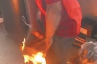 Οι ρίζες της κτηνωδίας