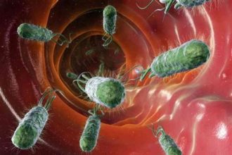 Βακτήρια του εντέρου "πίσω" από το σύνδρομο χρόνιας κόπωσης