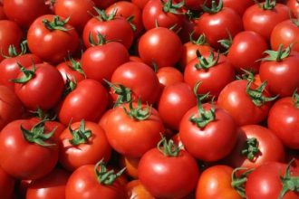 Το πανέξυπνο κόλπο που θα κάνει τις ντομάτες σας να μην χαλάνε - ΒΙΝΤΕΟ