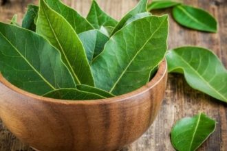 3 φυσικοί τρόποι για να εξαφανίσετε τις κατσαρίδες από το σπίτι σας