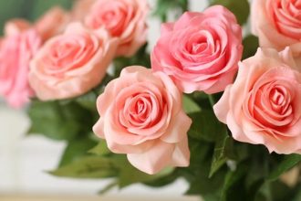 Με αυτό το... αναψυκτικό τα λουλούδια στο βάζο διατηρούνται περισσότερο