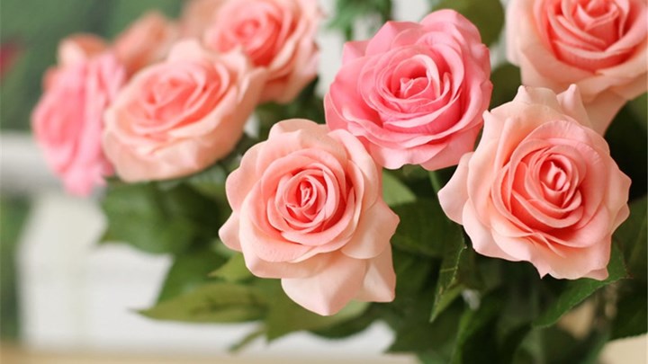 Με αυτό το... αναψυκτικό τα λουλούδια στο βάζο διατηρούνται περισσότερο