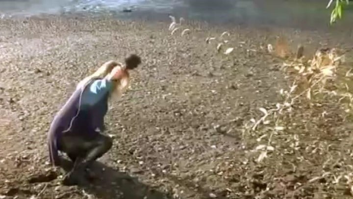 "Κατάπιε" Δημοσιογράφο η λίμνη της Καστοριάς σε ζωντανή σύνδεση - ΒΙΝΤΕΟ