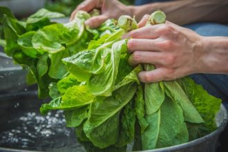 Τρία κόλπα για να στεγνώσεις το μαρούλι γρήγορα