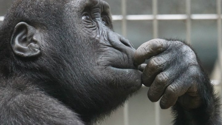 Τεστ γνώσεων για... λίγους – Απάντησε σε 10 δύσκολες ερωτήσεις