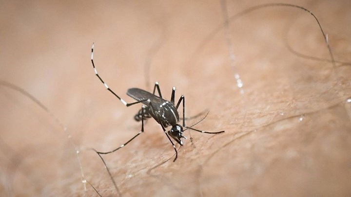 Ιός Δυτικού Νείλου: Τέσσερις θάνατοι μέσα σε μία εβδομάδα