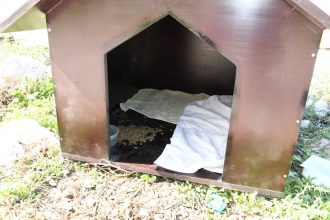 Πάτρα: Συμπολίτης θέλει να κατασκευάσει και να αντικαταστήσει τα κλεμμένα σπιτάκια για τα αδέσποτα