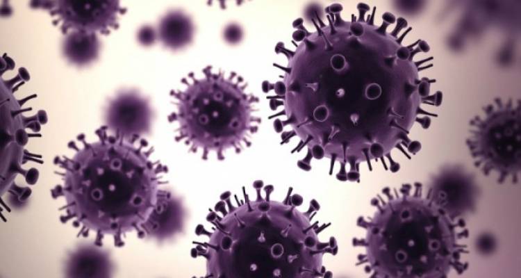 Πλημμύρες & καύσωνες έχουν κάνει πιο επικίνδυνα για τον άνθρωπο 218 λοιμώδη νοσήματα