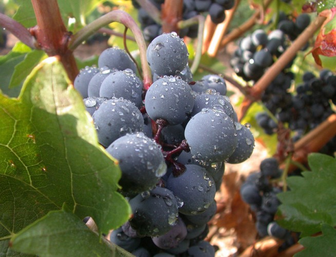 Δεύτερη συνάντηση Ενδιαφερόμενων Μερών του Έργου Ευρωπαϊκού Έργου Διαπεριφερειακής Συνεργασίας