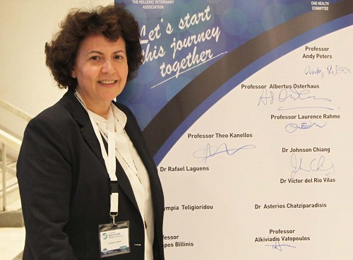 Με πολλά «χιλιόμετρα» επιτυχημένης διαδρομής