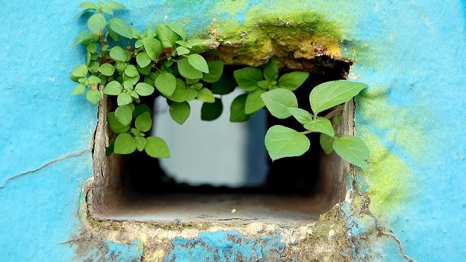 Έκθεση φωτογραφίας με θέμα: «Η φύση στην πόλη»