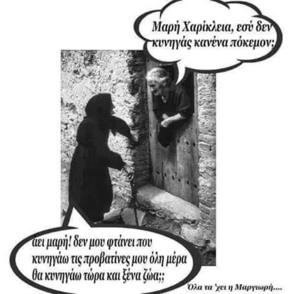 Προβατίνα ή πόκεμον;