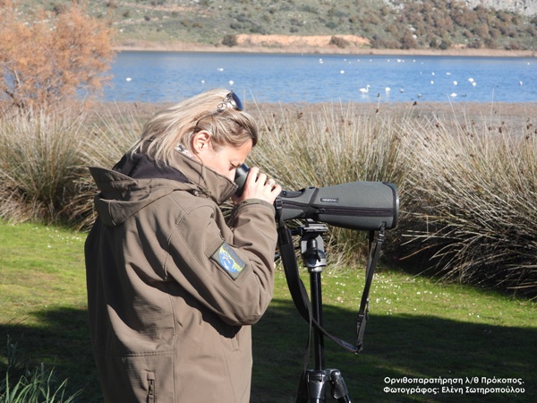 Παγκόσμια ημέρα Περιβάλλοντος: Εκδήλωση στο δάσος της Στροφυλιάς