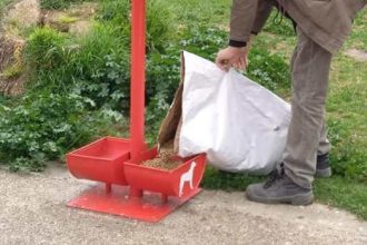 Πάτρα: Βίντεο του δήμου για την Παγκόσμια Ημέρα Αδέσποτων