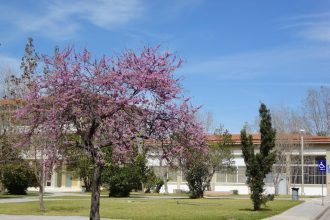 Πανεπιστήμιο Πατρών: Πρόγραμμα Βιομηχανικών Διδακτορικών UPatras IQ